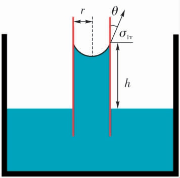 pagenumber_ebook=10,pagenumber_book=156