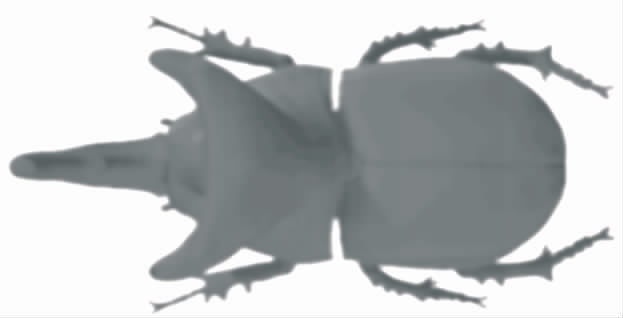 pagenumber_ebook=60,pagenumber_book=1077