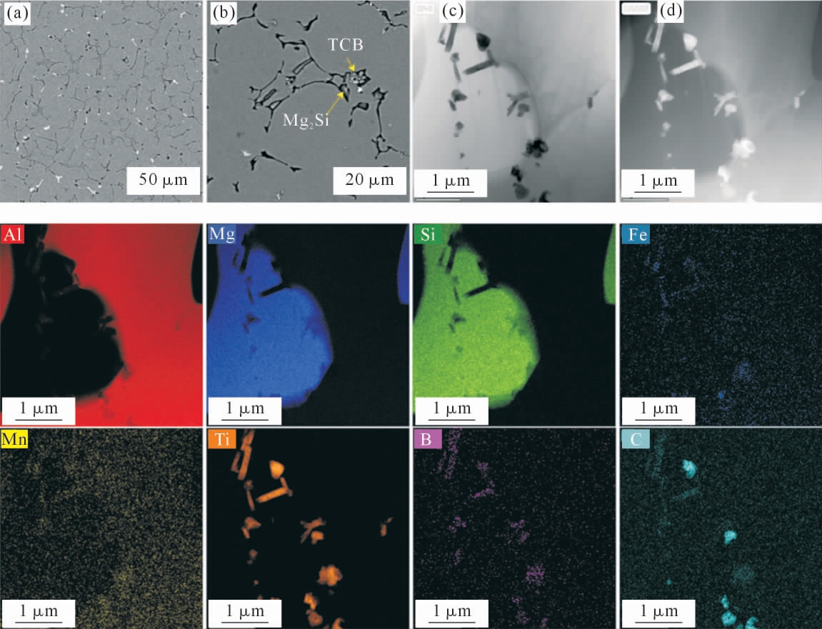 pagenumber_ebook=51,pagenumber_book=349