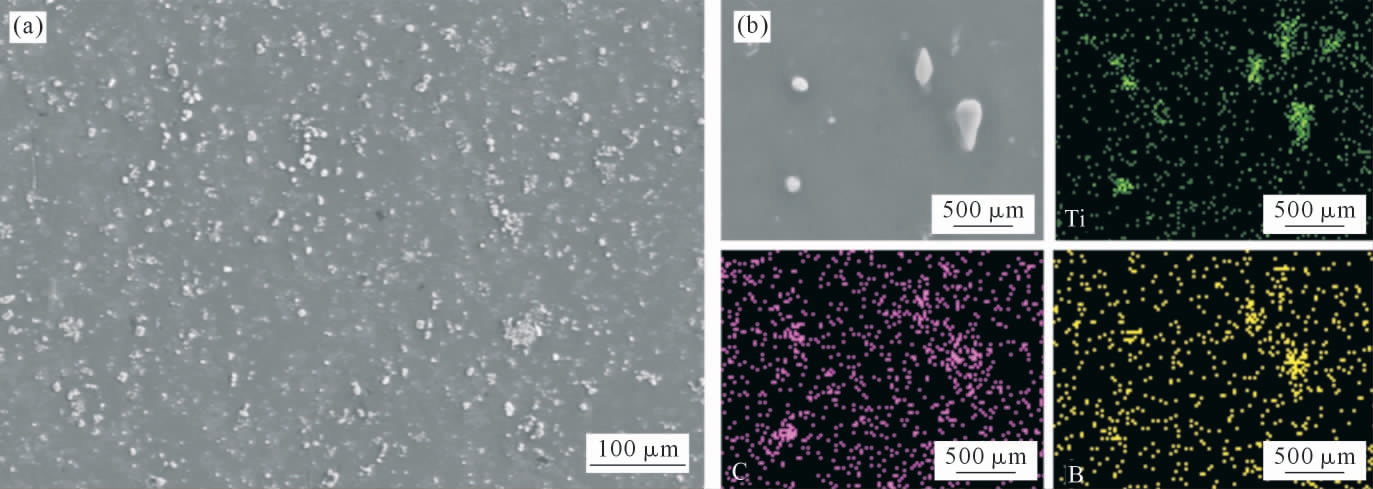 pagenumber_ebook=49,pagenumber_book=347