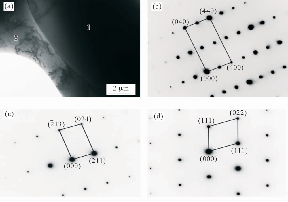 pagenumber_ebook=43,pagenumber_book=341