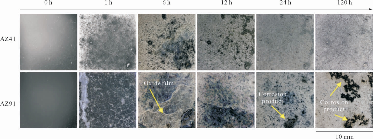 pagenumber_ebook=37,pagenumber_book=423