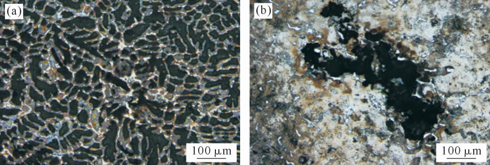 pagenumber_ebook=38,pagenumber_book=424