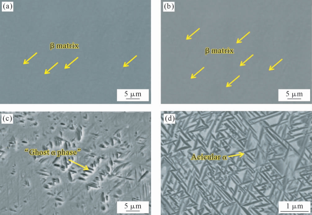 pagenumber_ebook=28,pagenumber_book=414