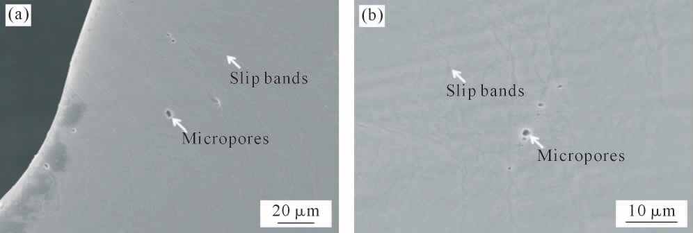 pagenumber_ebook=31,pagenumber_book=417
