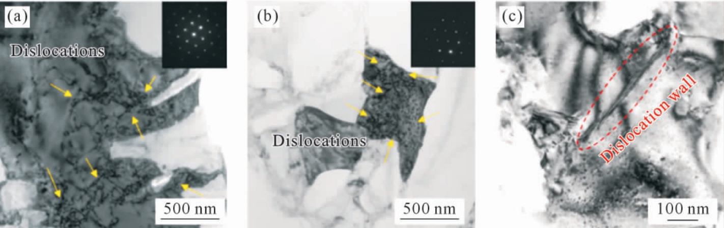 pagenumber_ebook=41,pagenumber_book=519