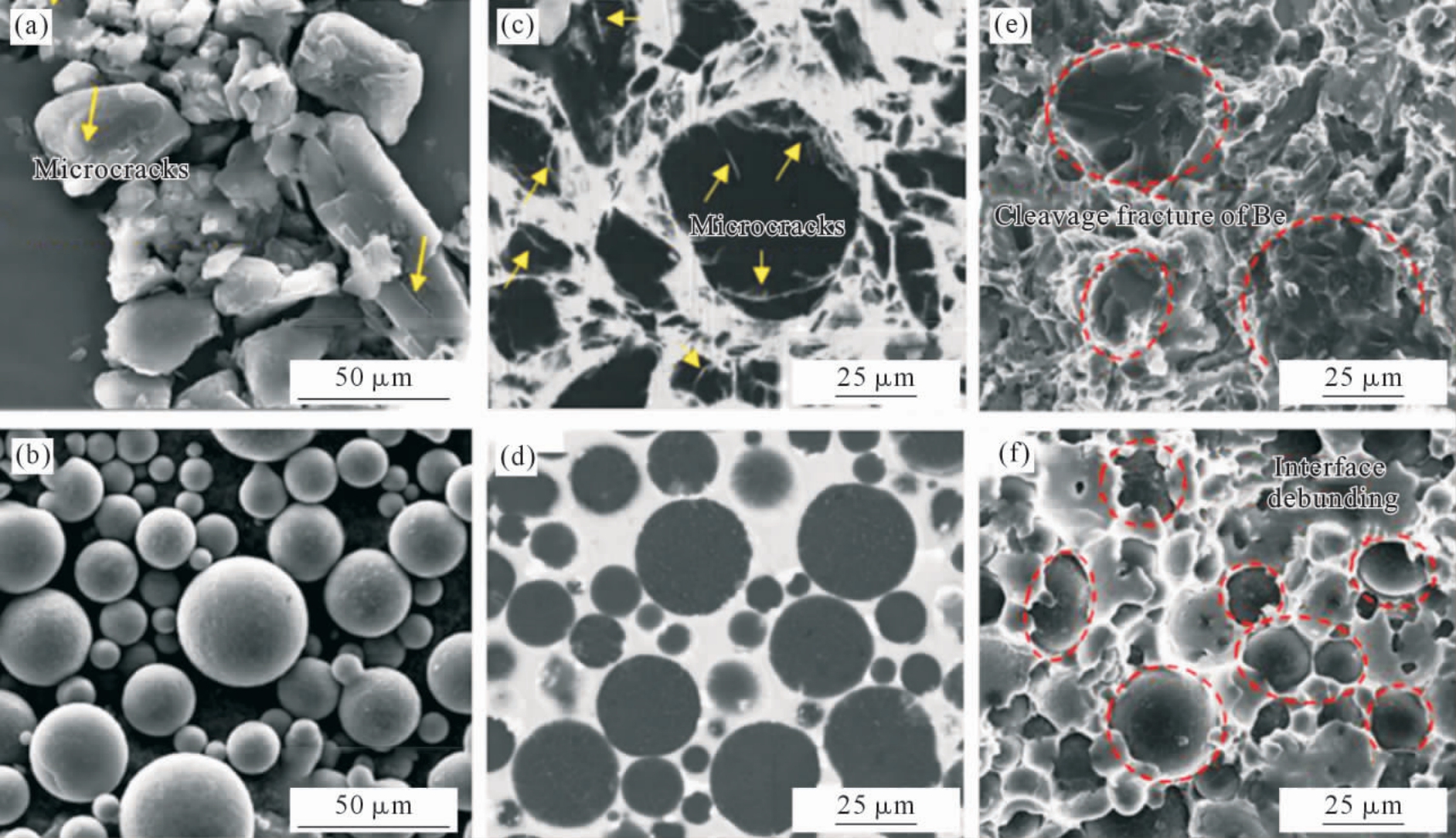 pagenumber_ebook=43,pagenumber_book=521