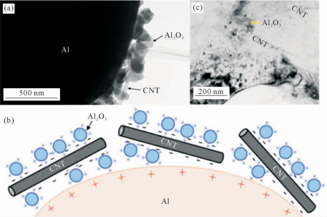 pagenumber_ebook=50,pagenumber_book=528