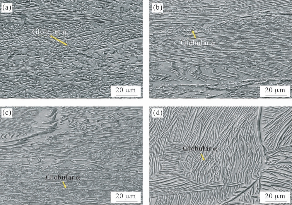 pagenumber_ebook=43,pagenumber_book=915