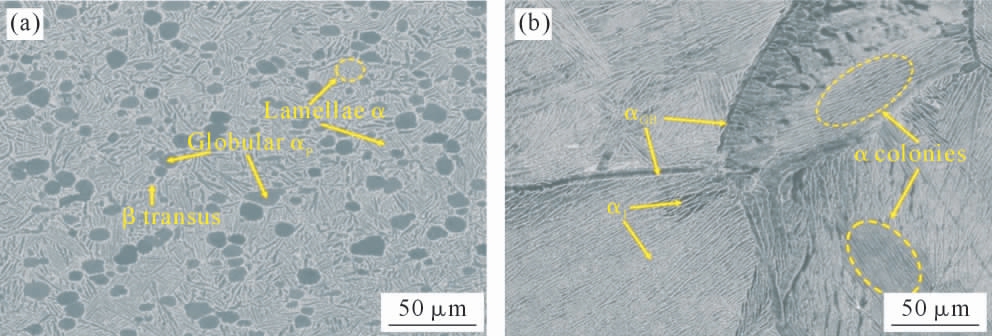 pagenumber_ebook=38,pagenumber_book=910