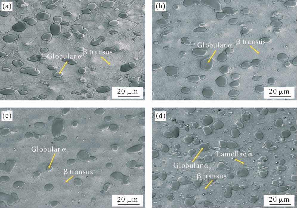 pagenumber_ebook=43,pagenumber_book=915