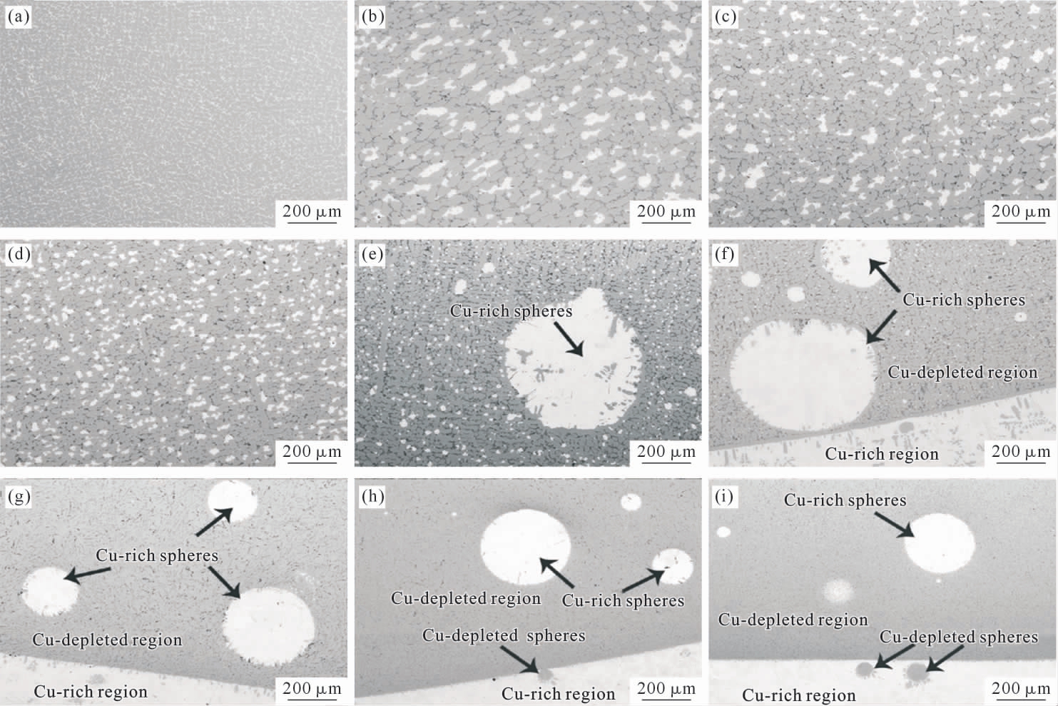 Fundamentals Of Solidification 凝固金属 Fundamentals Of Solidification 凝固金属
