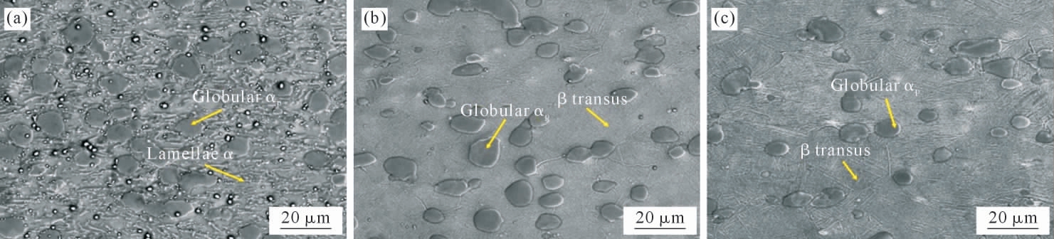 pagenumber_ebook=42,pagenumber_book=914