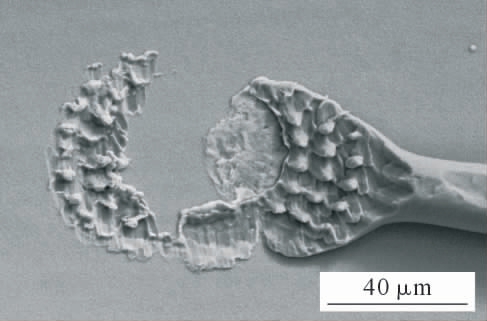 pagenumber_ebook=19,pagenumber_book=991