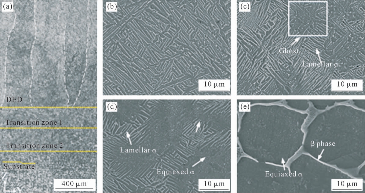 pagenumber_ebook=8,pagenumber_book=980