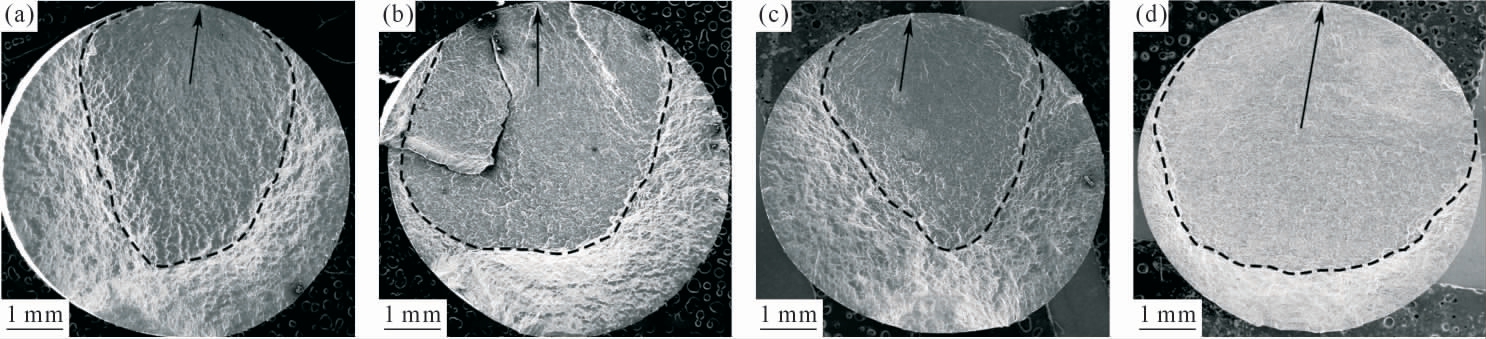 pagenumber_ebook=51,pagenumber_book=1023