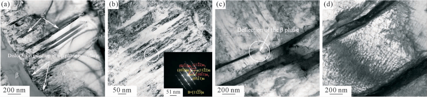 pagenumber_ebook=51,pagenumber_book=1023