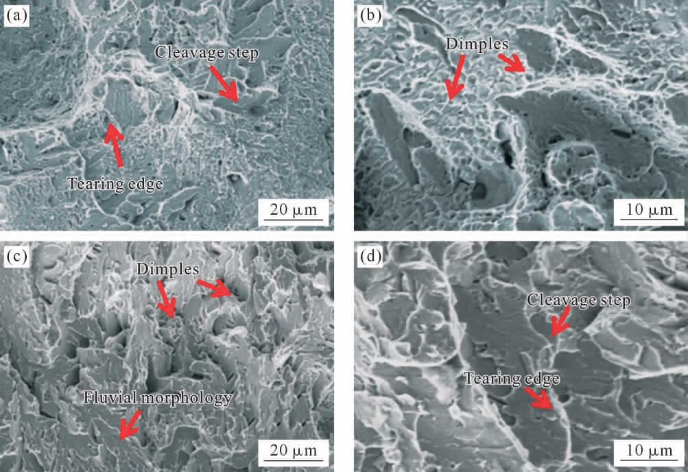 pagenumber_ebook=61,pagenumber_book=1033