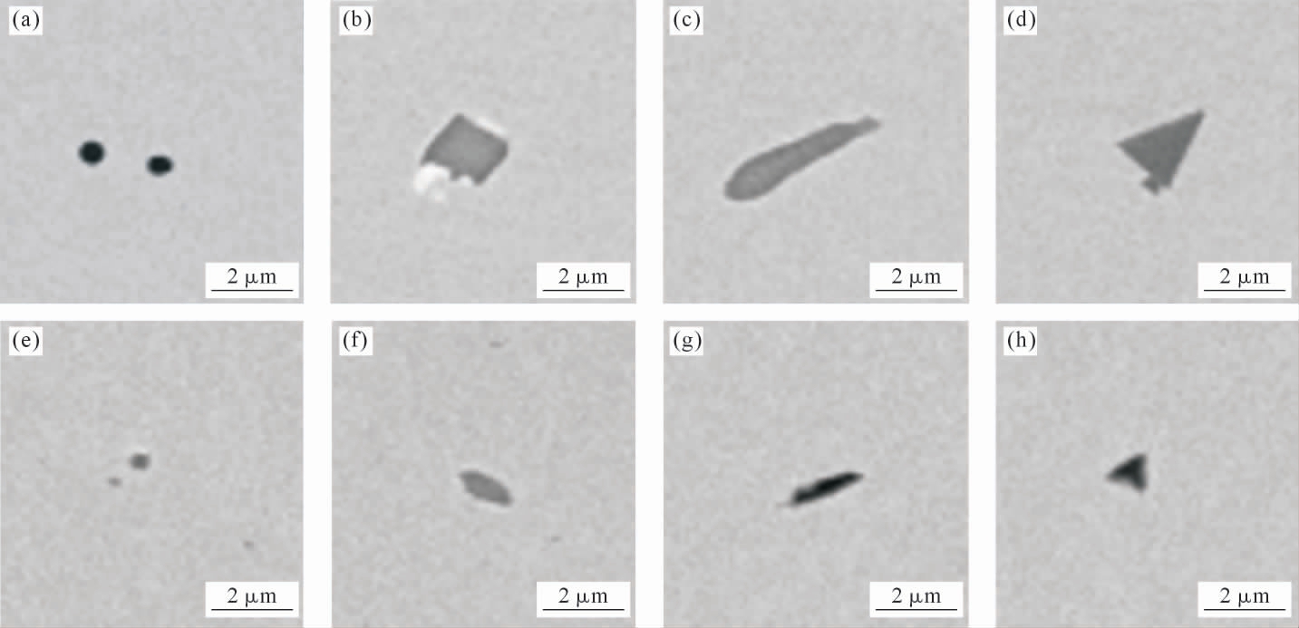 pagenumber_ebook=59,pagenumber_book=1031